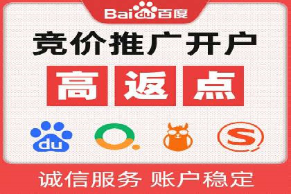 某电商平台SEM竞价广告的转化率提升案例